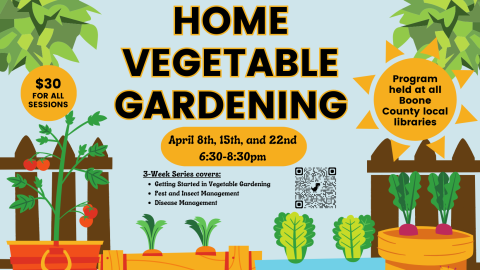 Home Vegetable Gardening Flyer